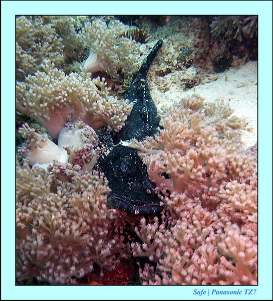 2011 - 08 - Borneo - Mantabuan 13